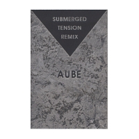 Ｓｕｂｍｅｒｇｅｄ　Ｔｅｎｓｉｏｎ　Ｒｅｍｉｘ