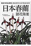 日本春蘭　銘花集　厳選！５０種と最新花