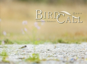 ＢＩＲＤ　ＣＡＬＬ