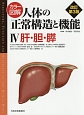 カラー図解・人体の正常構造と機能＜改訂第3版＞　肝・胆・膵(4)