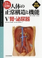 カラー図解・人体の正常構造と機能＜改訂第3版＞　腎・泌尿器(5)