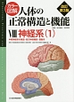 カラー図解・人体の正常構造と機能＜改訂第3版＞　神経系1　中枢神経系の構造・高次神経機能・運動系(8)