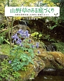 山野草のある庭づくり　四季の風情を楽しむ実例と庭植えのコツ