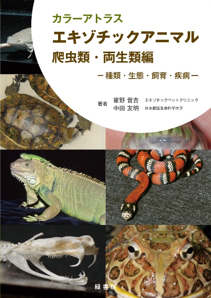 カラーアトラス エキゾチックアニマル 爬虫類・両生類編/霍野晋吉