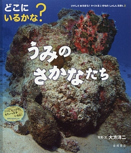 さがしてあそぼう！かくれるいきものしゃしんえほん　どこにいるかな？うみのさかなたち