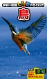 鳥　学研の図鑑LIVEポケット