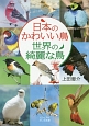 日本のかわいい鳥　世界の綺麗な鳥