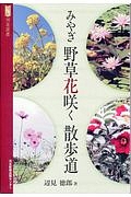 みやぎ　野草花咲く散歩道