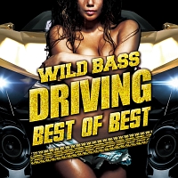 ＷＩＬＤ　ＢＡＳＳ　ＤＲＩＶＩＮＧ　－ＢＥＳＴ　ＯＦ　ＢＥＳＴ－