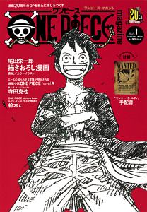 ＯＮＥ　ＰＩＥＣＥ　ｍａｇａｚｉｎｅ