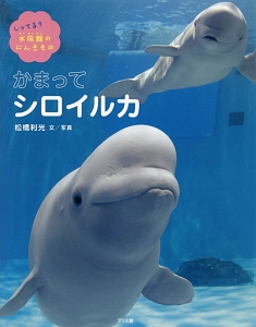 かまってシロイルカ　しってる？水族館のにんきもの