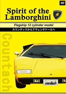 Ｓｐｉｒｉｔ　ｏｆ　ｔｈｅ　Ｌａｍｂｏｒｇｈｉｎｉ　Ｆｌａｇｓｈｉｐ　１２　ｃｙｌｉｎｄｅｒ　ｍｏｄｅｌ　カウンタックからアヴェンタドールへ