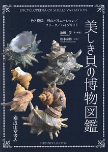 美しき貝の博物図鑑