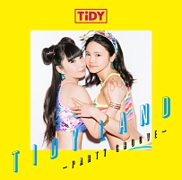 TIDY LAND-PARTY GROOVE-