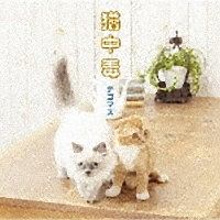 猫中毒