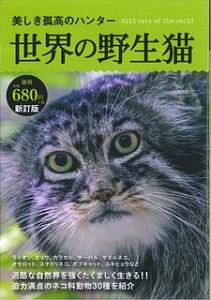 世界の野生猫