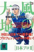 風の大地　エバーグリーンシリーズ　日本プロ２