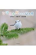 世界のかわいい小鳥 上田恵介の本 情報誌 Tsutaya ツタヤ