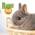 大判カレンダー　ウサギ　2018