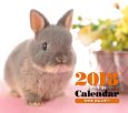 ミニカレンダー　ウサギ　2018