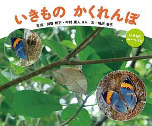 いきものかくれんぼ いきものみーつけた