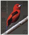 世界の原色の鳥図鑑
