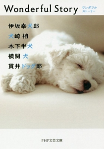 Wonderful Story