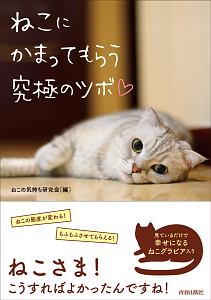 ねこにかまってもらう究極のツボ