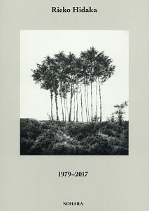 日高理恵子『日高理恵子作品集 1979-2017』