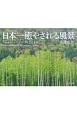 高橋真澄　日本一癒される風景カレンダー