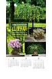 山野草　四季の鉢植え作品集　カレンダー　2018