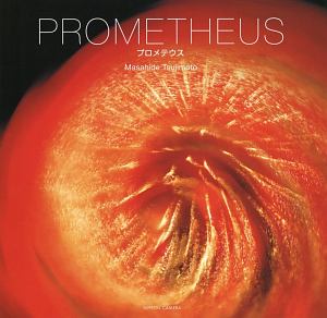 ＰＲＯＭＥＴＨＥＵＳ