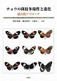 チョウの斑紋多様性と進化