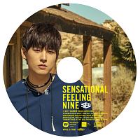 Ｓｅｎｓａｔｉｏｎａｌ　Ｆｅｅｌｉｎｇ　Ｎｉｎｅ（ＩＮ　ＳＥＯＮＧ）