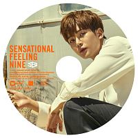 Ｓｅｎｓａｔｉｏｎａｌ　Ｆｅｅｌｉｎｇ　Ｎｉｎｅ（ＲＯ　ＷＯＯＮ）