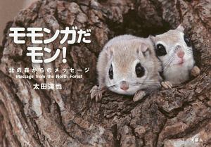 モモンガだモン 太田達也 本 漫画やdvd Cd ゲーム アニメをtポイントで通販 Tsutaya オンラインショッピング