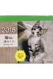 猫ぐらし　週めくり卓上カレンダー　2018