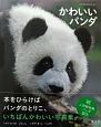 かわいいパンダ　パンダだいすきシリーズ2