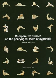 Comparative studies on the pharyngeal teeth of cyprinids