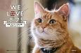 WE　LOVEボブ！　映画『ボブという名の猫』公式フォトブック