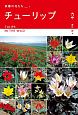チューリップ　ヨーロッパ・アジア9カ国紀行　原種の花たち1
