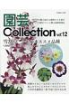 園芸Collection(12)