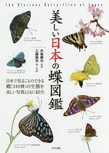 美しい日本の蝶図鑑