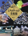 デジタル顕微鏡で楽しむ！ミクロワールド美術館