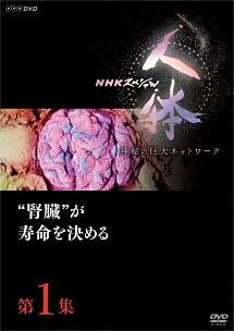 ＮＨＫスペシャル　人体　神秘の巨大ネットワーク　第１集　“腎臓”が寿命を決める