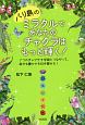 バリ島のミラクルであなたのチャクラはもっと輝く！