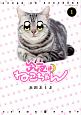 今夜はねこちゃん(1)