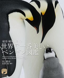 ペンギン 本 販売