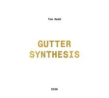 Ｇｕｔｔｅｒ　Ｓｙｎｔｈｅｓｉｓ