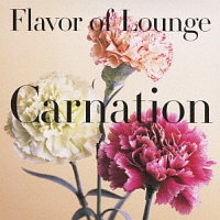 Ｆｌａｖｏｒ　ｏｆ　Ｌｏｕｎｇｅ－ｃａｒｎａｔｉｏｎ